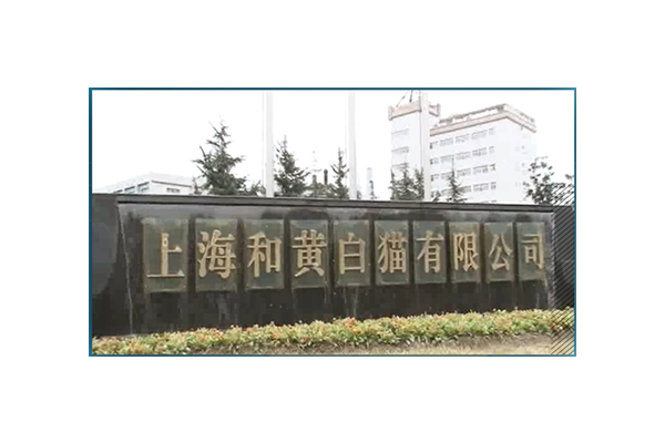 2026年